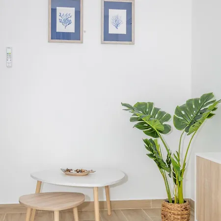 Apartment Mc With Amazing Front Sea View Burgau